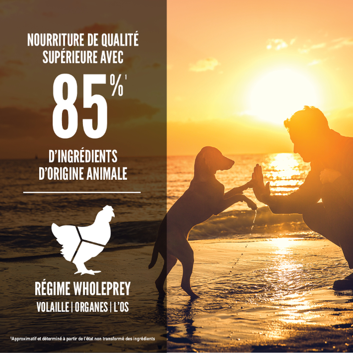 null - Product thumbnail 3.0
